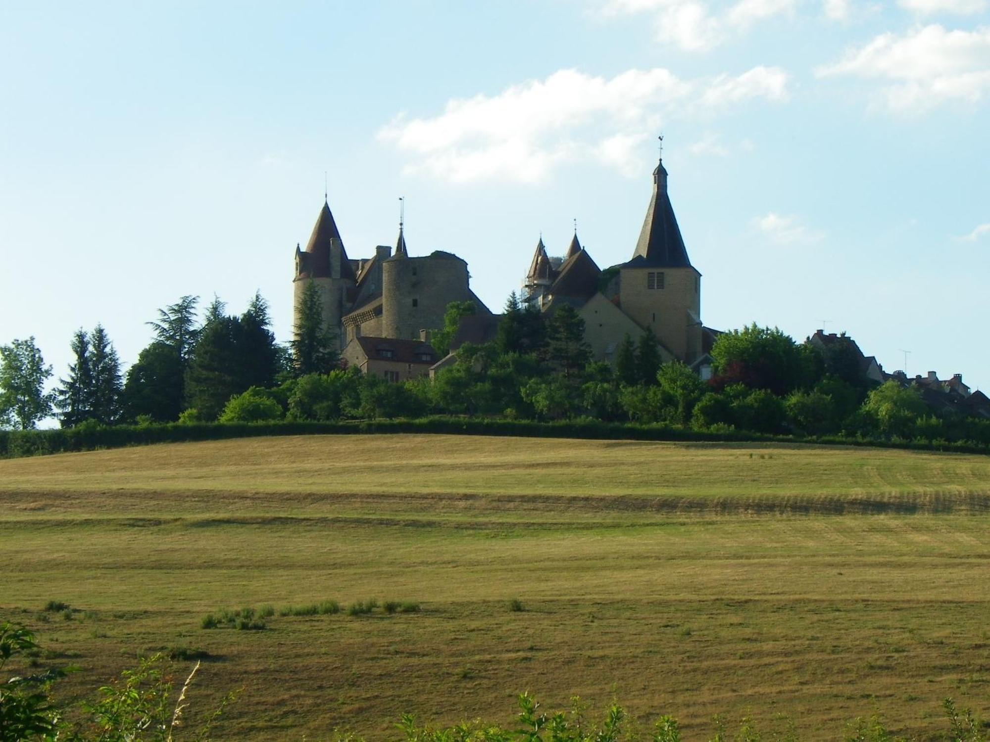 Le Cottage Du Chateau Chaudenay-le-Château Eksteriør billede